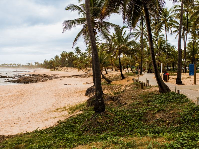 orla da praia de Costa de Sauípe