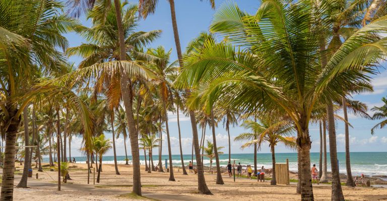 Conheça lugares para viajar no inverno e fugir da rotina na Bahia