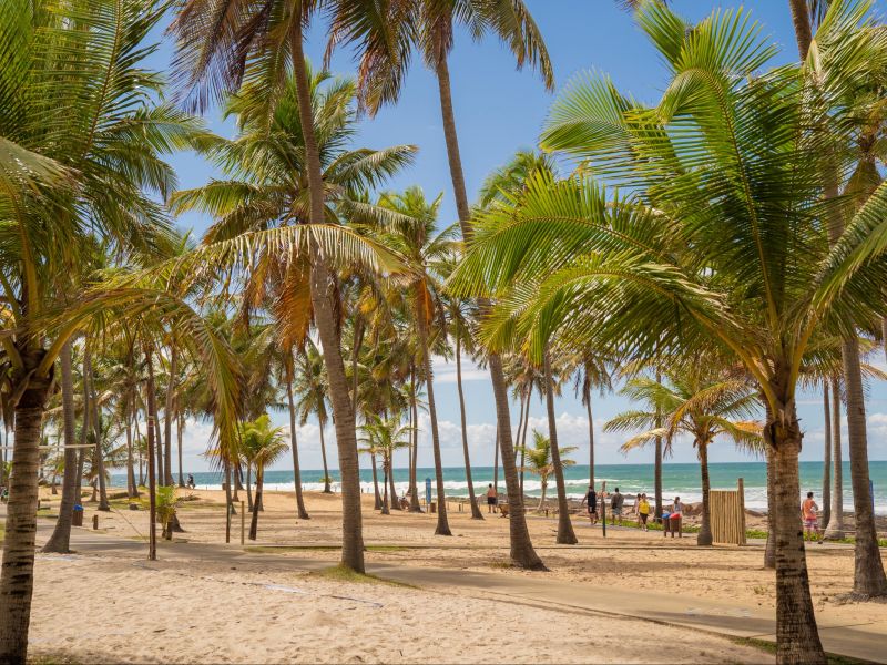 Coqueiros na praia da Costa do Sauípe, com as pessoas andando do resort até a praia