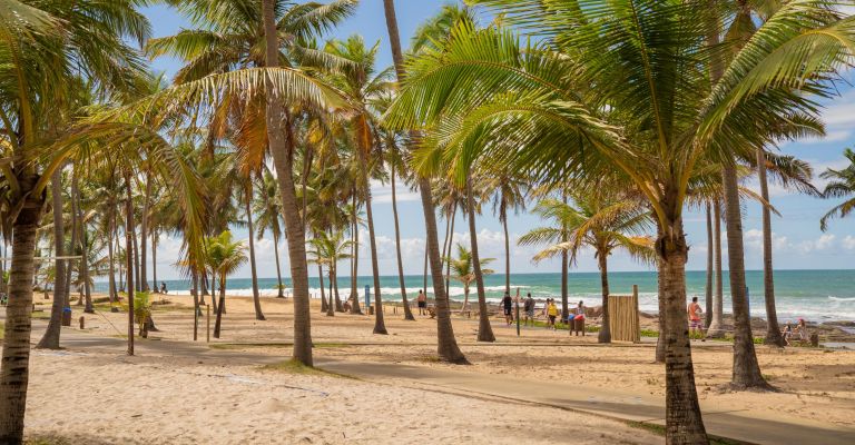 O litoral norte da Bahia reserva as melhores praias: saiba quais são