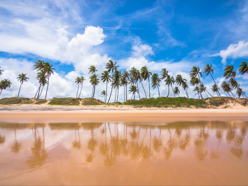 Orla da Praia de Massarandupió