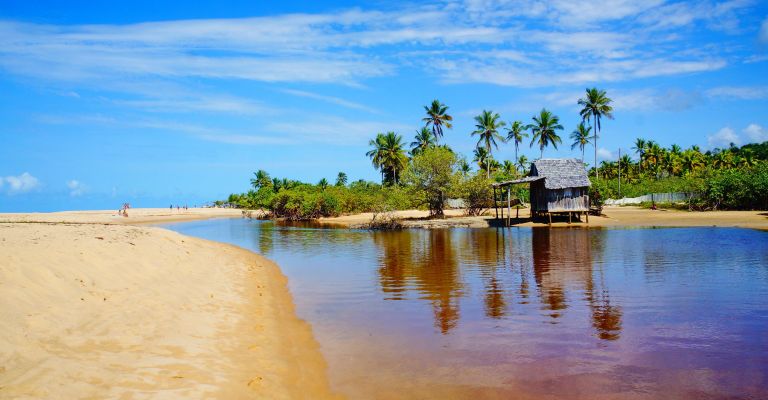 Embarque numa jornada pelo sul da Bahia visitando destinos incríveis